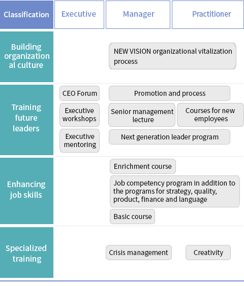 구분-임원,관리자,실무자
                  조직문화구축 - New Vision 조직 활성화 과정
                  미래리더육성 - ceo포럼,임원 워크샵,임원 멘토링, 승진과 과정, 고급관리자 점례특강, 신규입사자과정, 차세대리더과정
                  직무역량향상 - 심화과정,직무역량 스쿨운영,전략,품질,제품,재무,어학,기본과정
                  특화교육-위기관리, 창의력